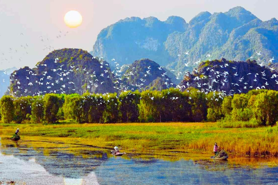 Vietnam wetland with flying birds and mountain scenery at sunset – Auasia Travel